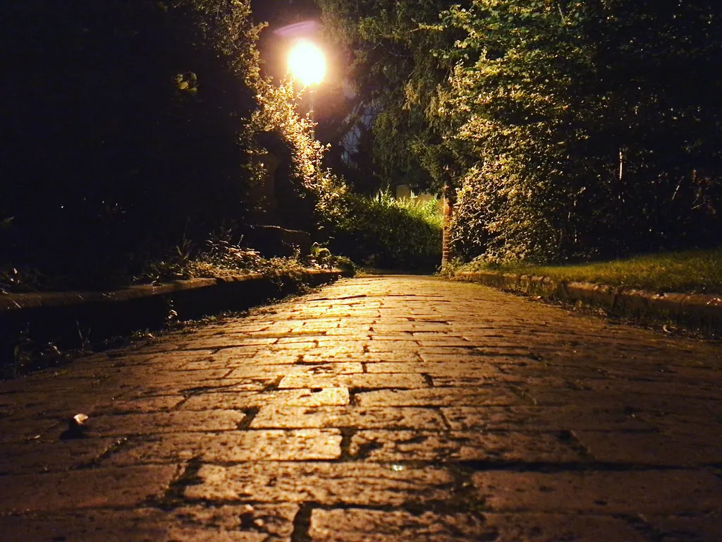Stone path and garden lit at night